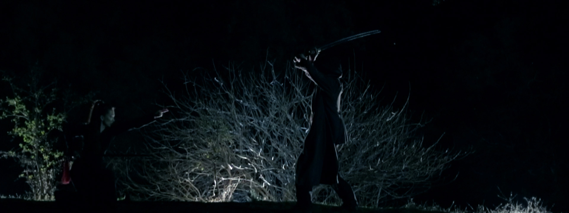 LOCKHART_swordfight